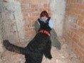 /album/ruiny-12-2-2011/dsc02021-jpg/