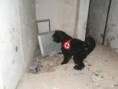 /album/ruiny-12-2-2011/dsc02309-jpg/