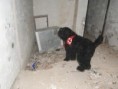 /album/ruiny-12-2-2011/dsc02310-jpg/