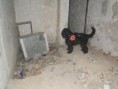/album/ruiny-12-2-2011/dsc02312-jpg/